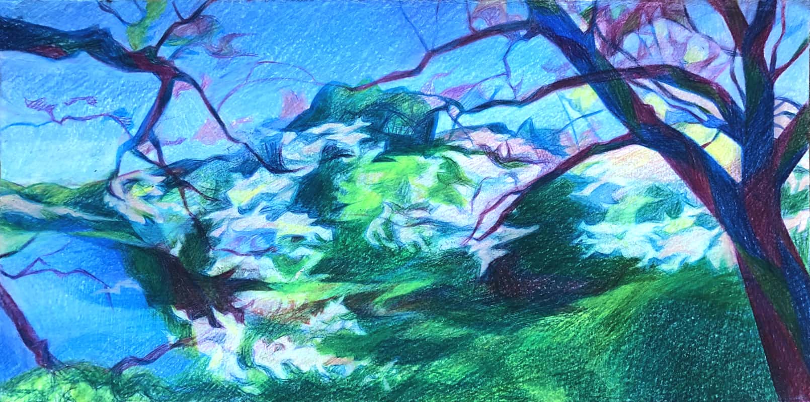 Paysage: Cerisiers en fleurs au Japon - Crayons de Couleursi Paysage: Cerisiers en fleurs au Japon - Crayons de Couleurs