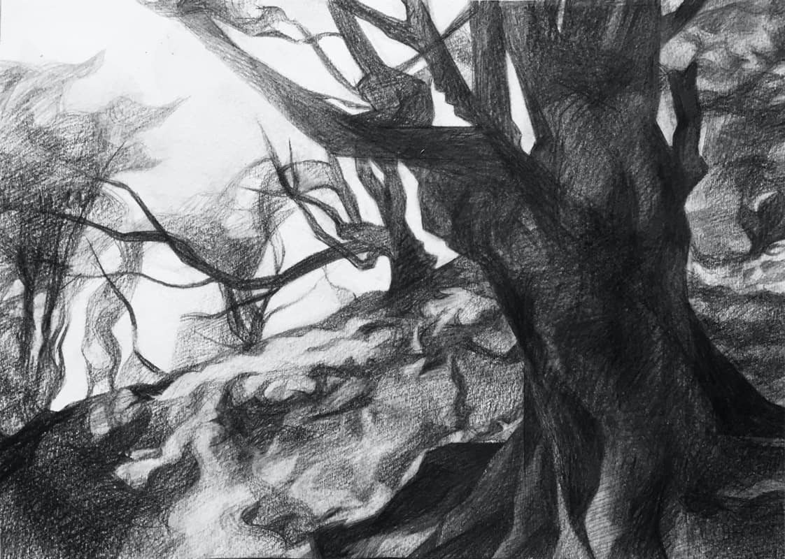 Paysage: Clairière en Crayon Graphite Paysage: Clairière en Crayon Graphite