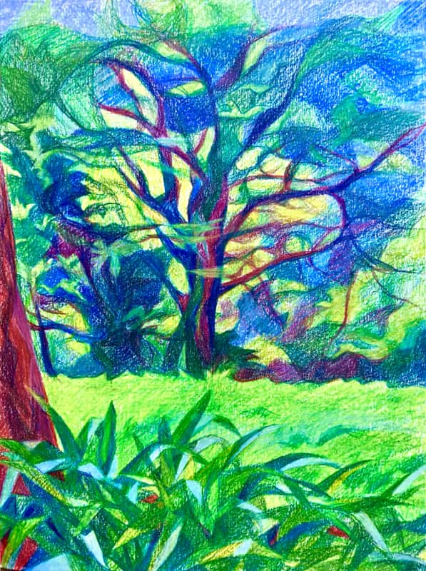 Paysage: Printemps Naissant, Crayons de Couleurs Paysage: Printemps Naissant, Crayons de Couleurs